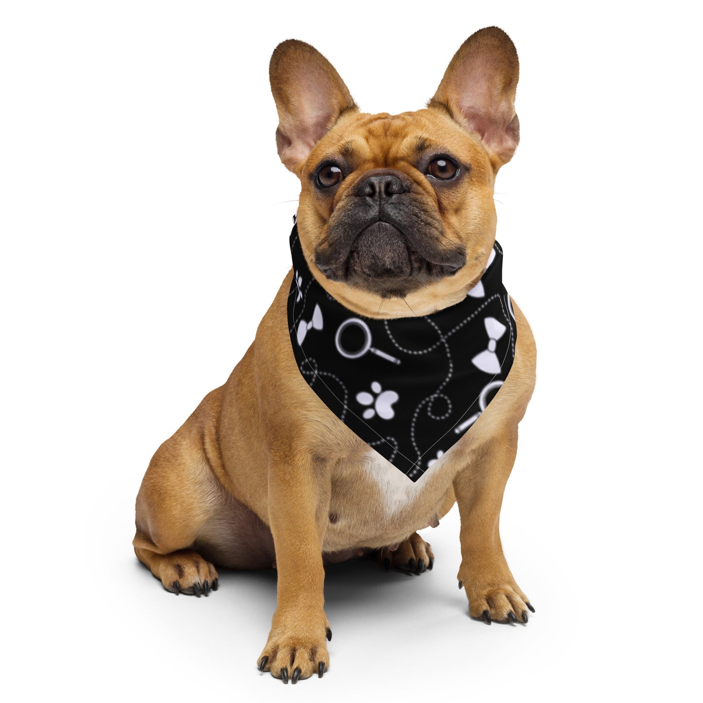 Pet Bandana Black