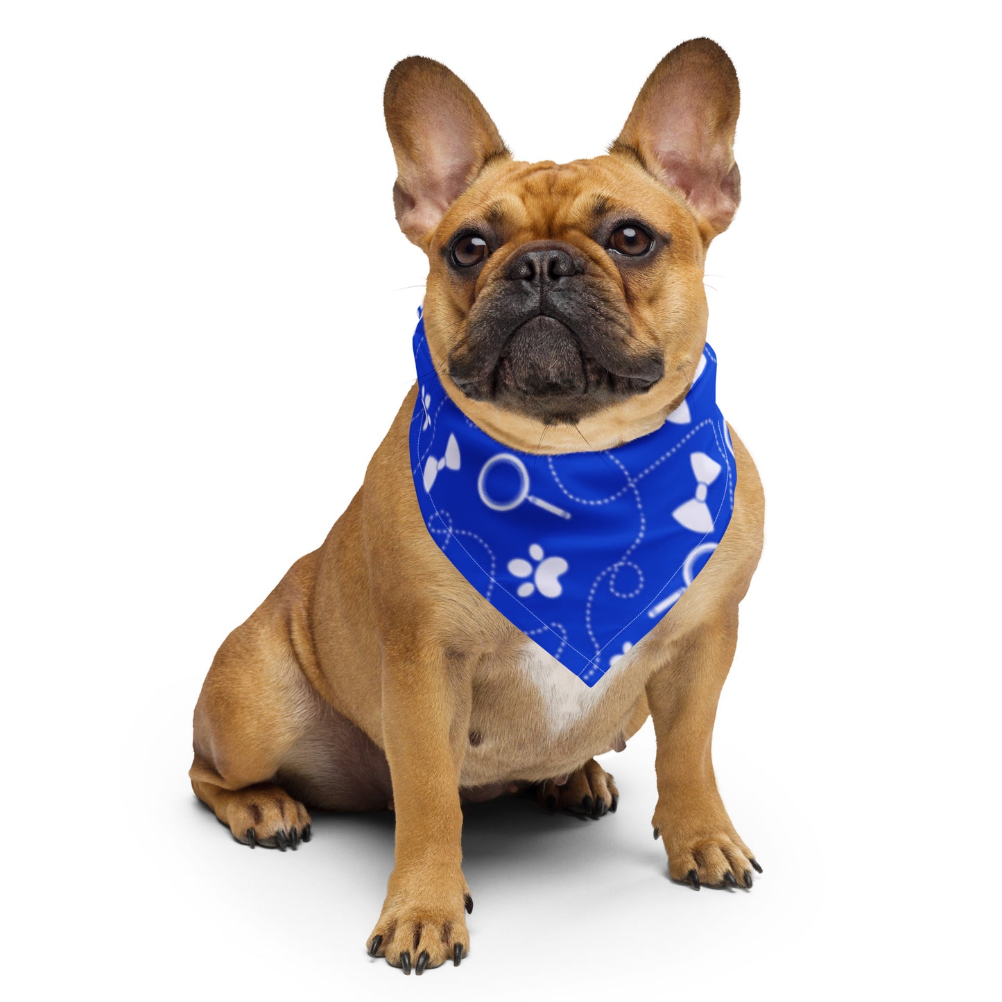 Pet Bandana Blue