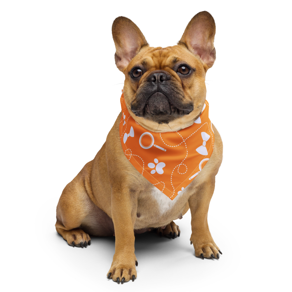 Pet Bandana Orange